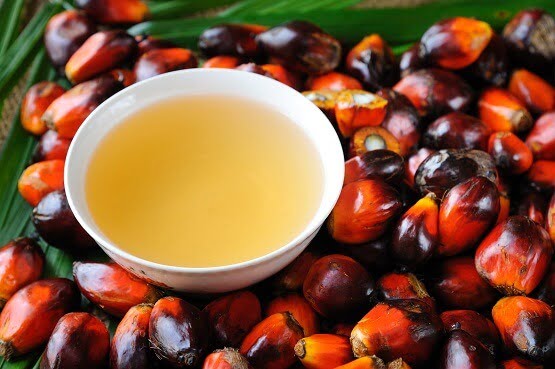palm oil and fruit small