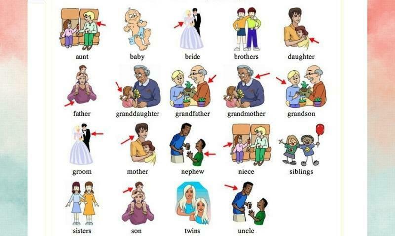 Common English Vocabulary about family