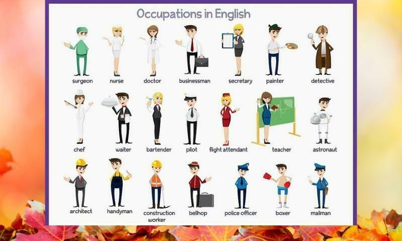 Common English Vocabulary about profession