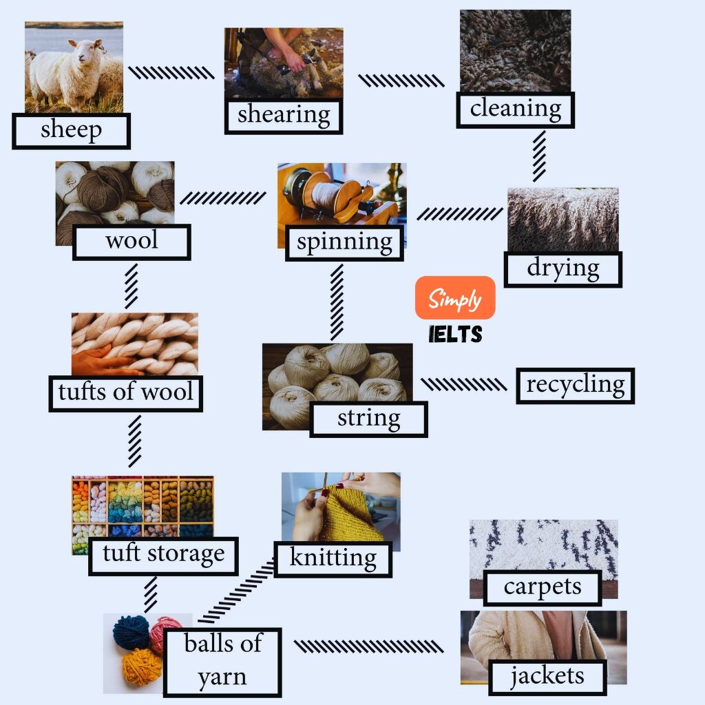 The diagram shows the different stages in the production of wollen goods